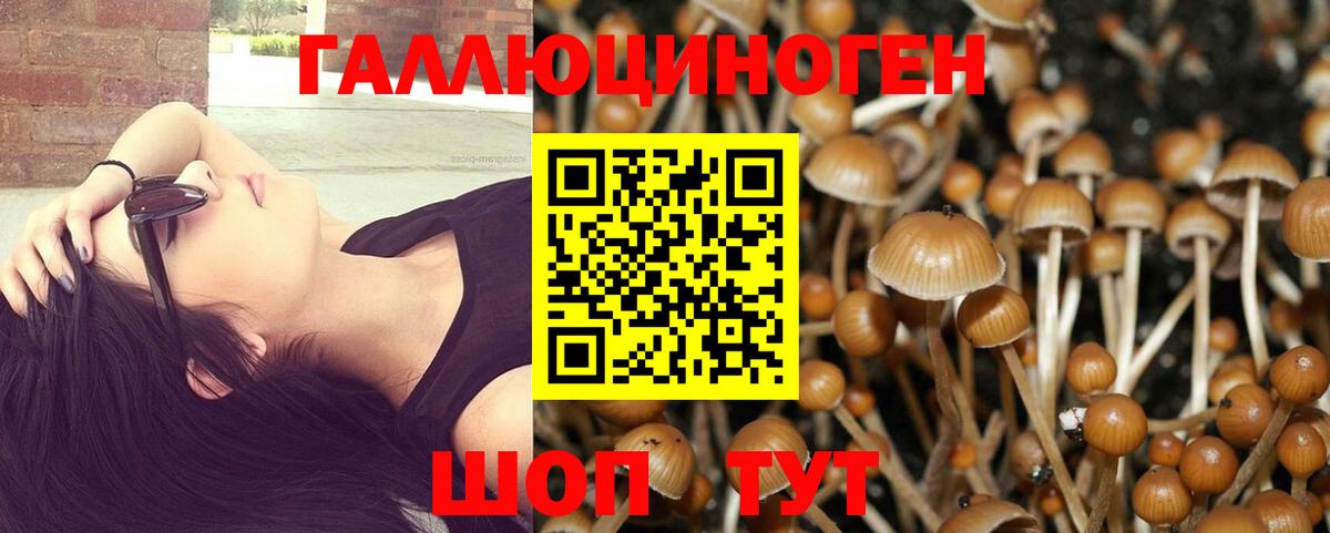Псилоцибиновые грибы Psilocybe Белебей